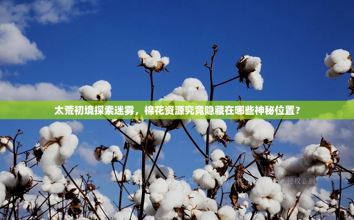 太荒初境探索迷雾，棉花资源究竟隐藏在哪些神秘位置？