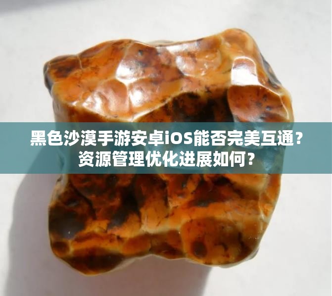 黑色沙漠手游安卓iOS能否完美互通？资源管理优化进展如何？
