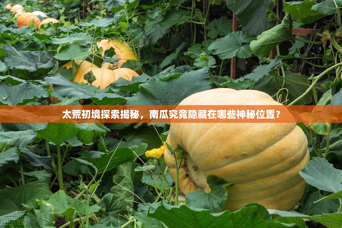 太荒初境探索揭秘，南瓜究竟隐藏在哪些神秘位置？
