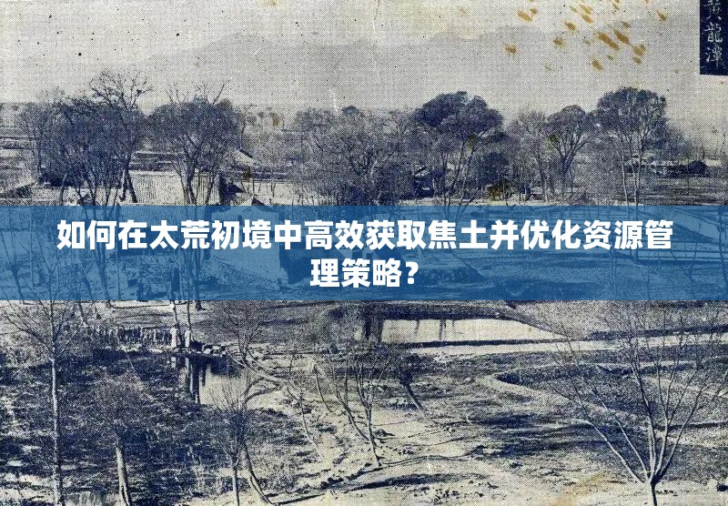 如何在太荒初境中高效获取焦土并优化资源管理策略？