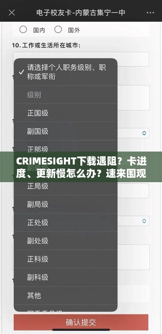 CRIMESIGHT下载遇阻？卡进度、更新慢怎么办？速来围观解决方法！