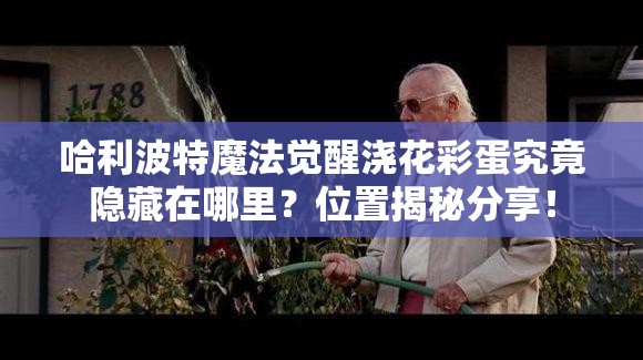 哈利波特魔法觉醒浇花彩蛋究竟隐藏在哪里？位置揭秘分享！