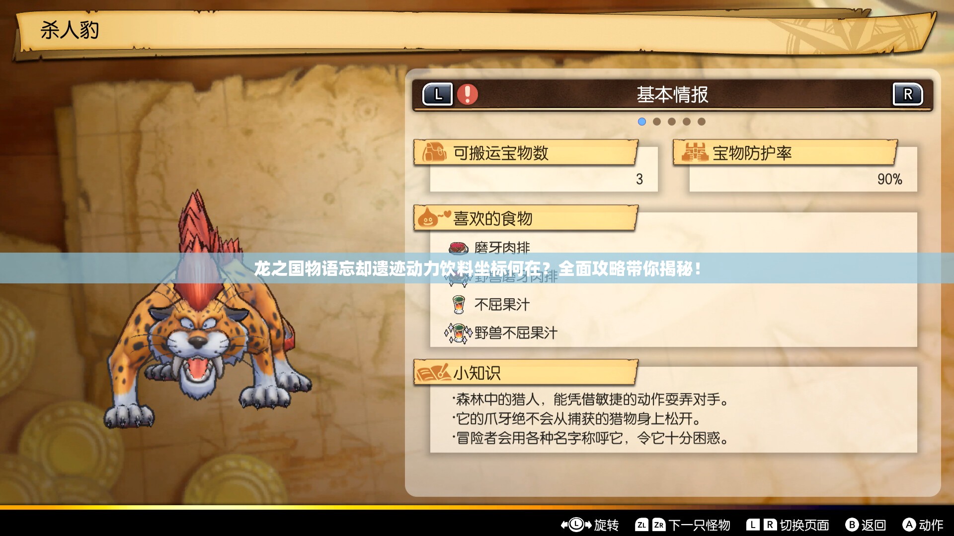 龙之国物语忘却遗迹动力饮料坐标何在？全面攻略带你揭秘！