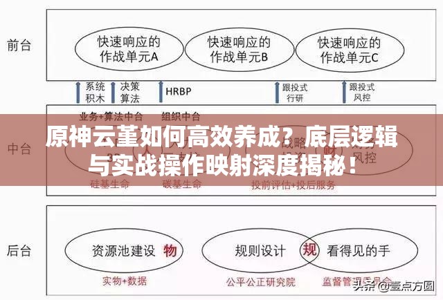 原神云堇如何高效养成？底层逻辑与实战操作映射深度揭秘！