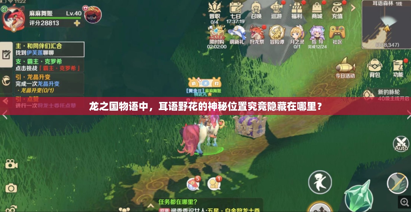 龙之国物语中，耳语野花的神秘位置究竟隐藏在哪里？