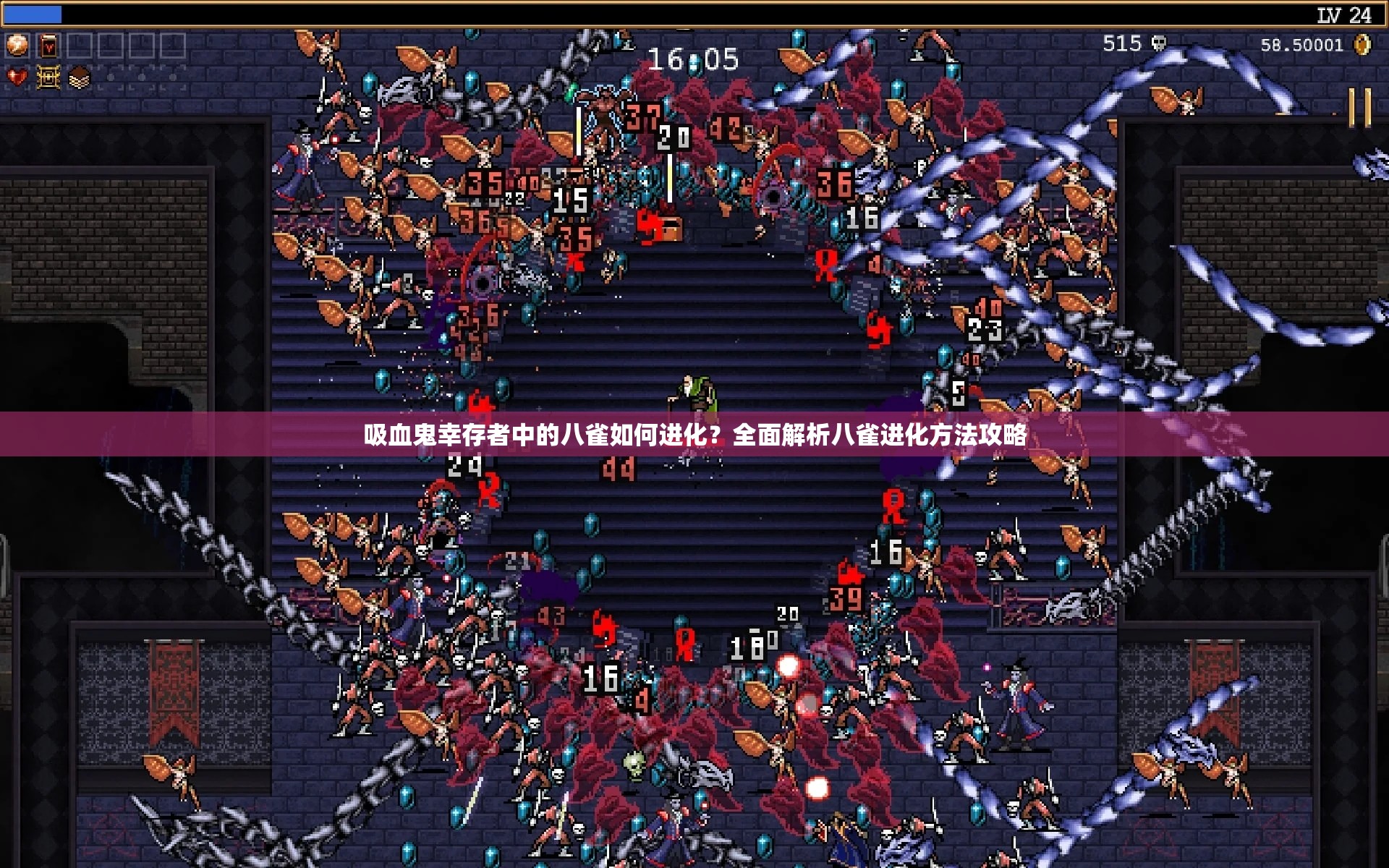 吸血鬼幸存者中的八雀如何进化？全面解析八雀进化方法攻略