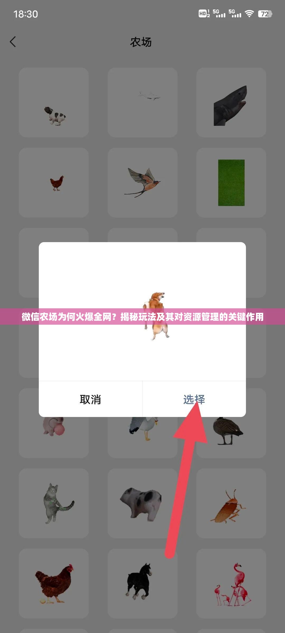 微信农场为何火爆全网？揭秘玩法及其对资源管理的关键作用