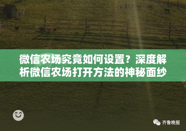 微信农场究竟如何设置？深度解析微信农场打开方法的神秘面纱