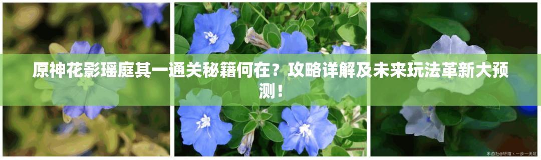 原神花影瑶庭其一通关秘籍何在？攻略详解及未来玩法革新大预测！