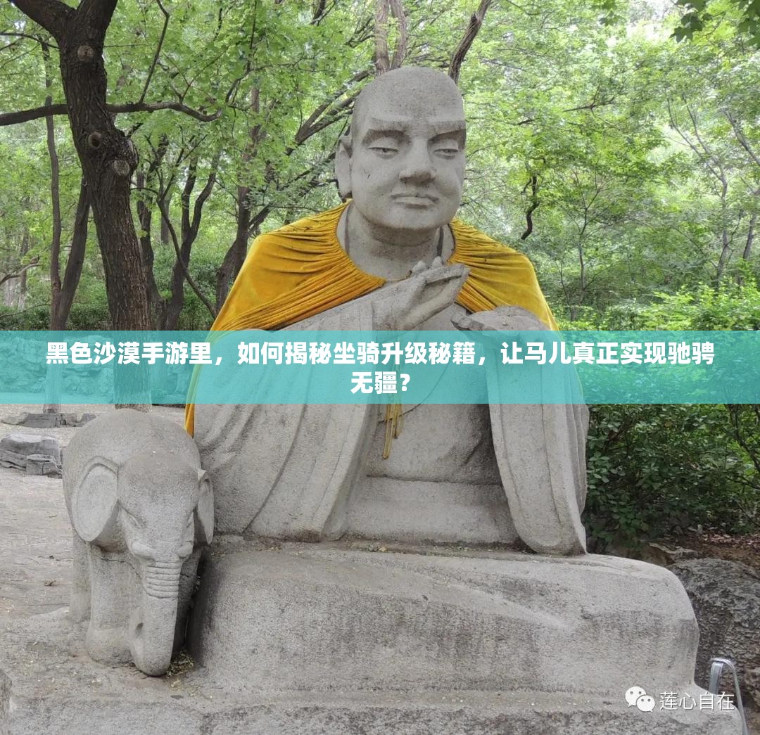 黑色沙漠手游里，如何揭秘坐骑升级秘籍，让马儿真正实现驰骋无疆？