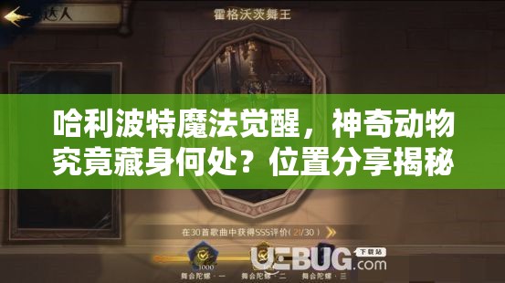 哈利波特魔法觉醒，神奇动物究竟藏身何处？位置分享揭秘！