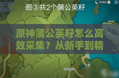 原神蒲公英籽怎么高效采集？从新手到精通的全面采集攻略来了！