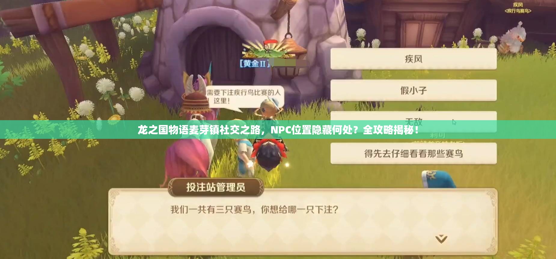 龙之国物语麦芽镇社交之路，NPC位置隐藏何处？全攻略揭秘！