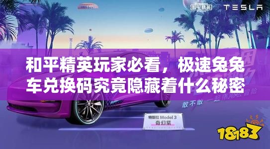 和平精英玩家必看，极速兔兔车兑换码究竟隐藏着什么秘密？