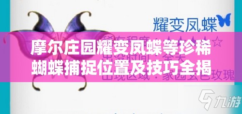 摩尔庄园耀变凤蝶等珍稀蝴蝶捕捉位置及技巧全揭秘？