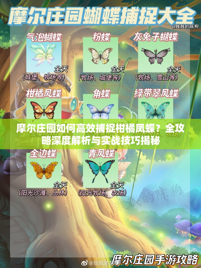 摩尔庄园如何高效捕捉柑橘凤蝶？全攻略深度解析与实战技巧揭秘