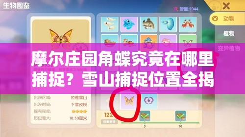 摩尔庄园角蝶究竟在哪里捕捉？雪山捕捉位置全揭秘！