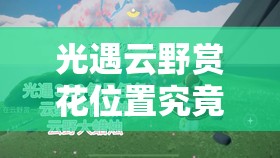 光遇云野赏花位置究竟在哪？前往方法又经历了哪些演变？