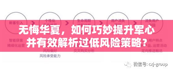 无悔华夏，如何巧妙提升军心并有效解析过低风险策略？