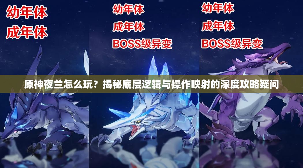 原神夜兰怎么玩？揭秘底层逻辑与操作映射的深度攻略疑问