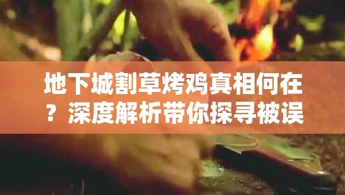 地下城割草烤鸡真相何在？深度解析带你探寻被误解的秘密