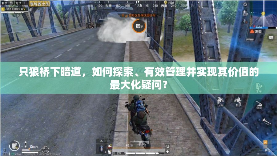 只狼桥下暗道，如何探索、有效管理并实现其价值的最大化疑问？