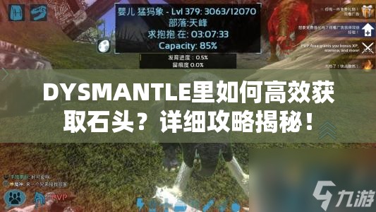 DYSMANTLE里如何高效获取石头？详细攻略揭秘！