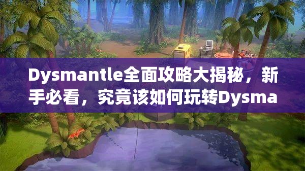 Dysmantle全面攻略大揭秘，新手必看，究竟该如何玩转Dysmantle？