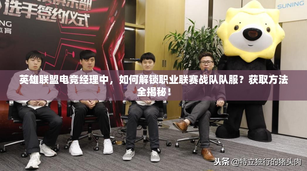 英雄联盟电竞经理中，如何解锁职业联赛战队队服？获取方法全揭秘！