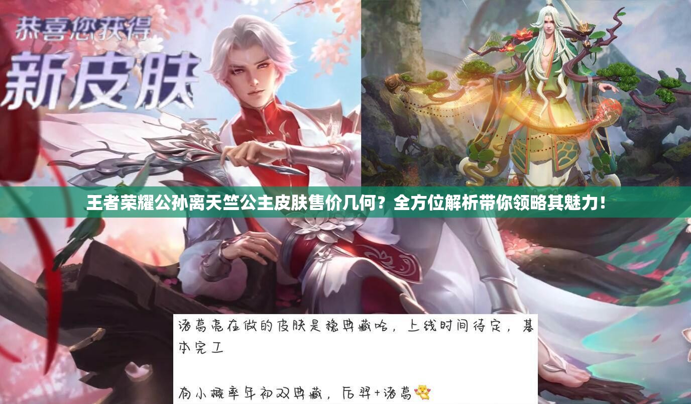 王者荣耀公孙离天竺公主皮肤售价几何？全方位解析带你领略其魅力！