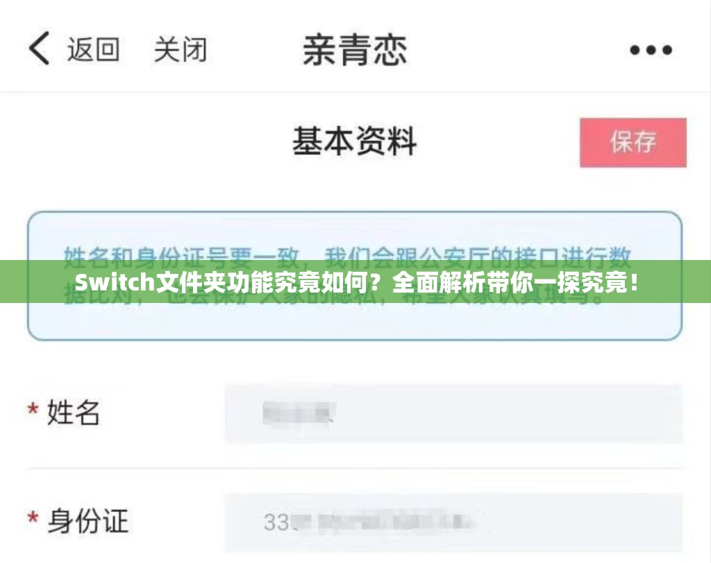 Switch文件夹功能究竟如何？全面解析带你一探究竟！