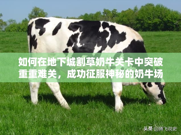 如何在地下城割草奶牛关卡中突破重重难关，成功征服神秘的奶牛场？