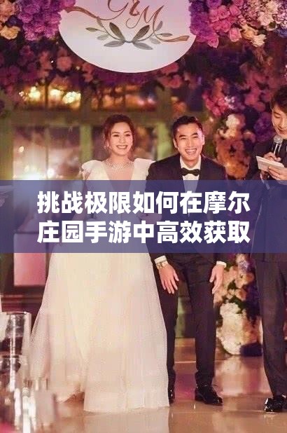 挑战极限如何在摩尔庄园手游中高效获取荷叶的终极攻略