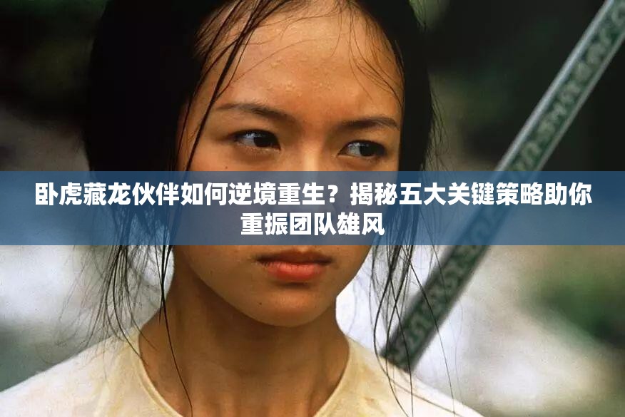 卧虎藏龙伙伴如何逆境重生？揭秘五大关键策略助你重振团队雄风