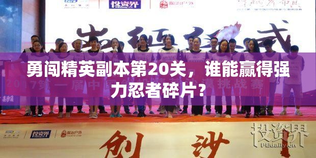 勇闯精英副本第20关，谁能赢得强力忍者碎片？