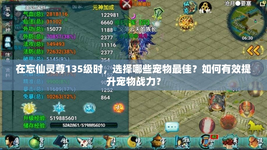 在忘仙灵尊135级时，选择哪些宠物最佳？如何有效提升宠物战力？