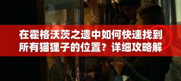在霍格沃茨之遗中如何快速找到所有猫狸子的位置？详细攻略解析