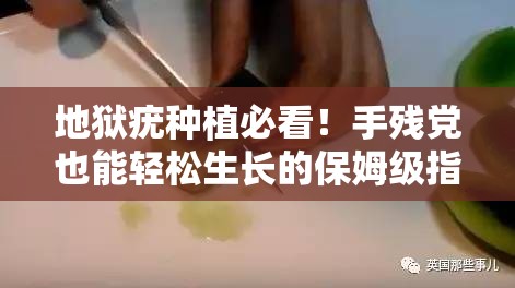 地狱疣种植必看！手残党也能轻松生长的保姆级指南