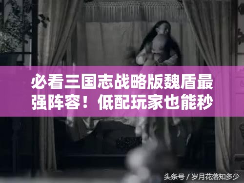 必看三国志战略版魏盾最强阵容！低配玩家也能秒变钢铁防线