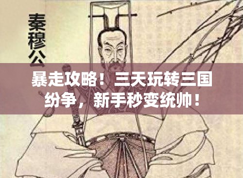 暴走攻略！三天玩转三国纷争，新手秒变统帅！