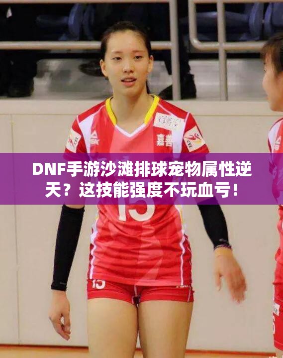 DNF手游沙滩排球宠物属性逆天？这技能强度不玩血亏！