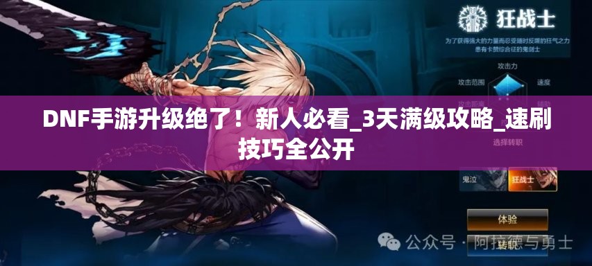 DNF手游升级绝了！新人必看_3天满级攻略_速刷技巧全公开